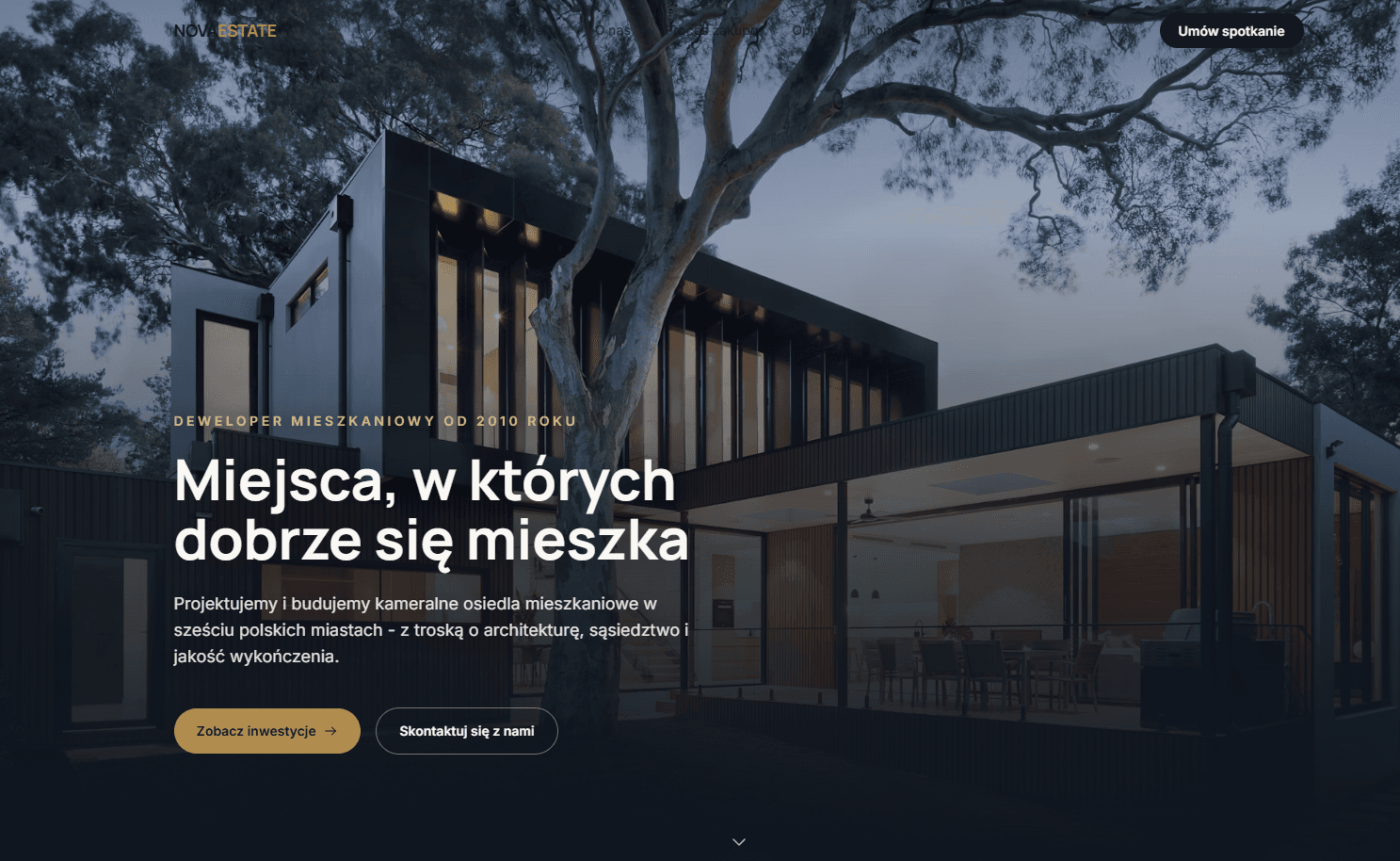 Zrzut ekranu strony Nova Estate